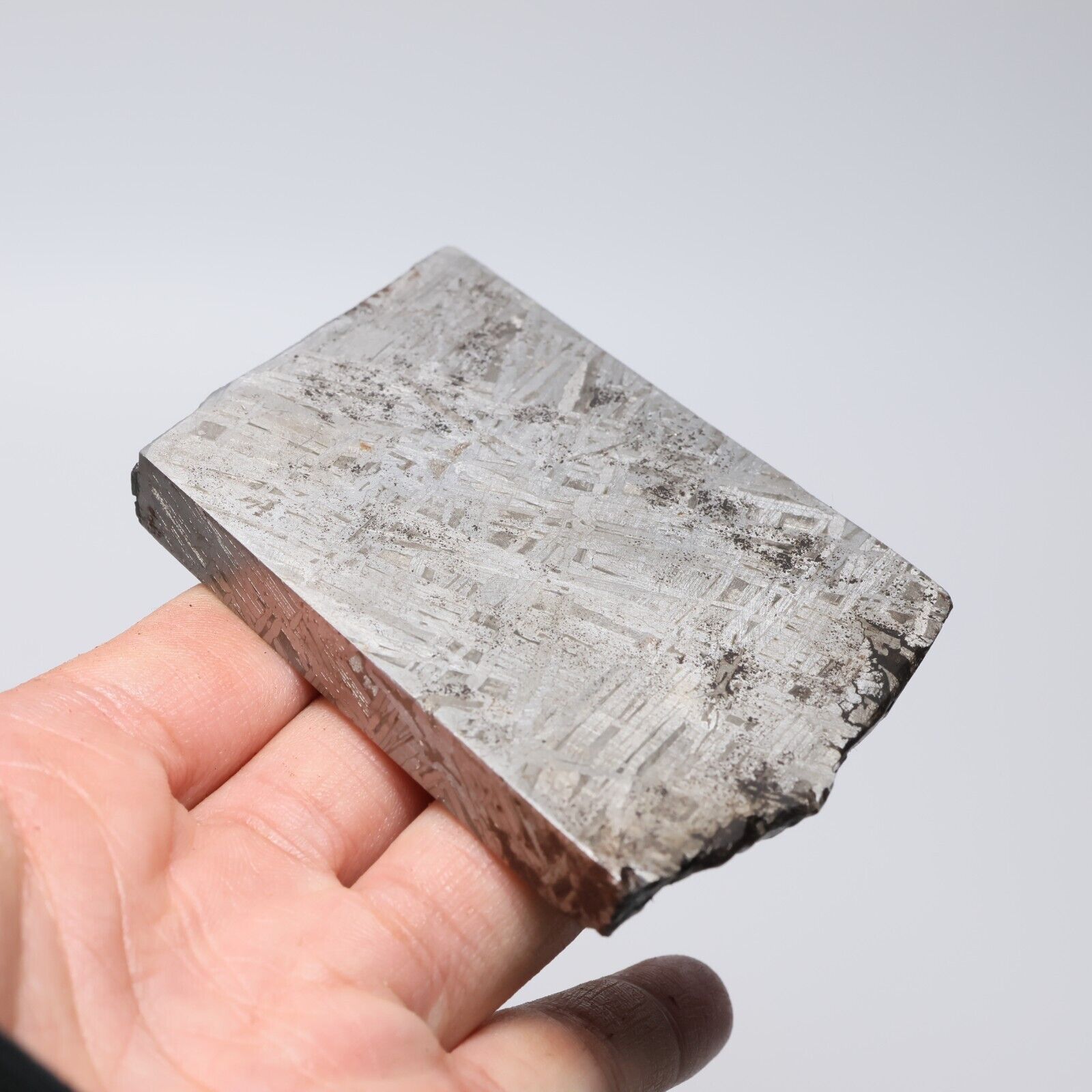 245g Muonionalusta meteorite part slice  A1971