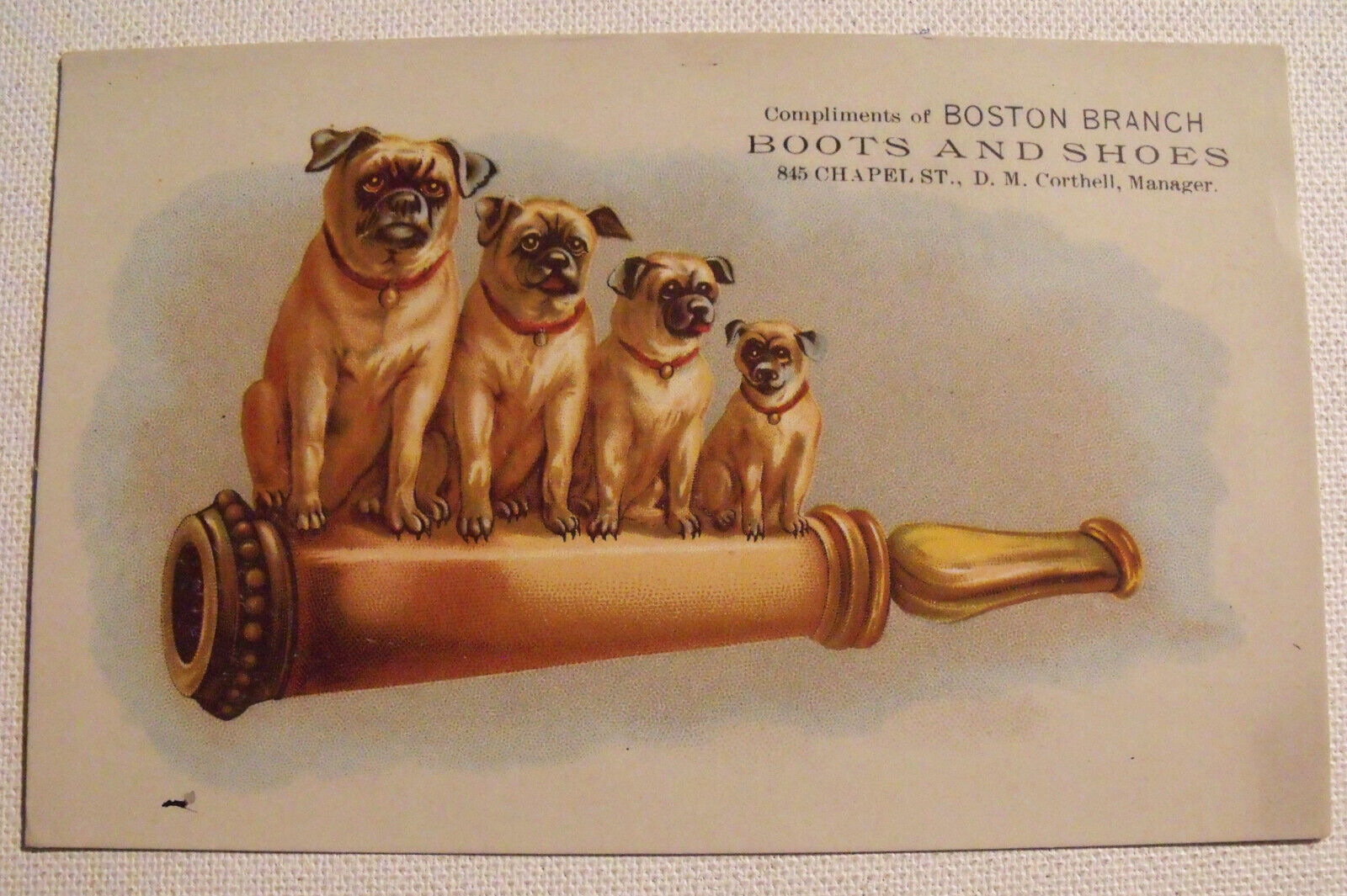 Victorian Trade Card PUG DOGS Cigarette Holder BOOTS & SHOES Boston MA c1880s