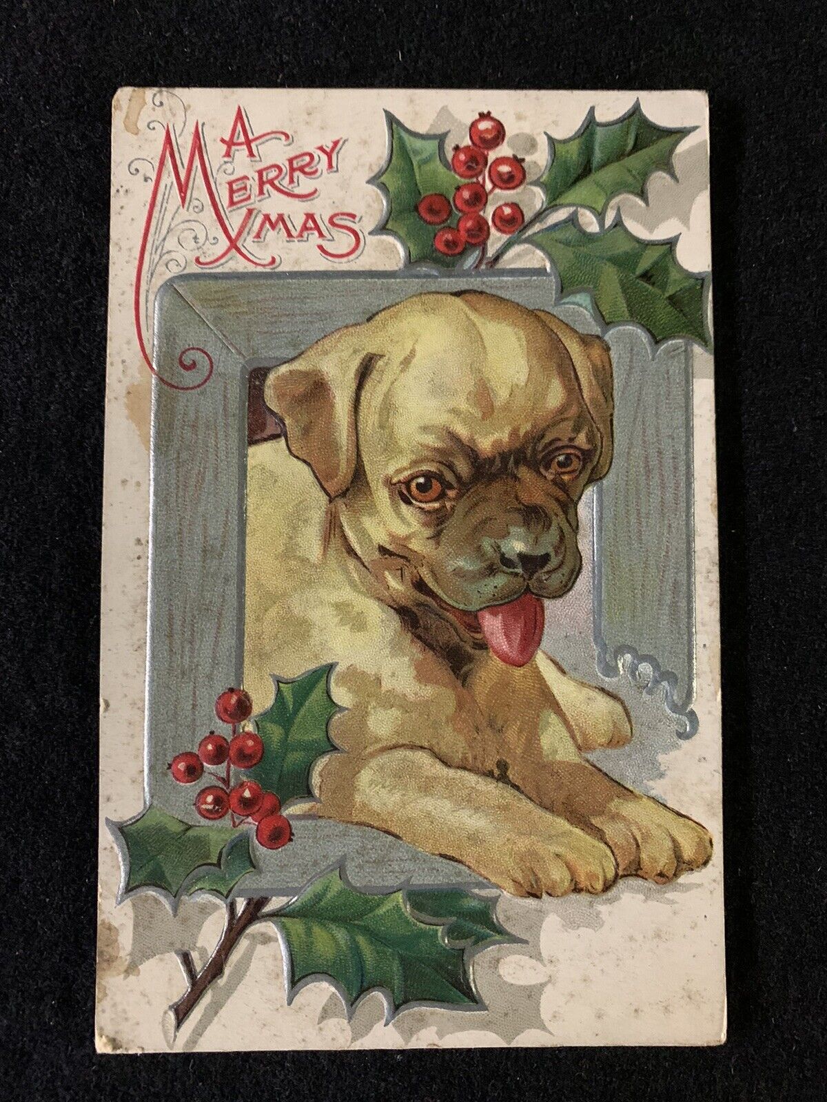 *Cute Puppy Dog with Holly* Vintage~Embossed Christmas Postcard Boxer Unposted