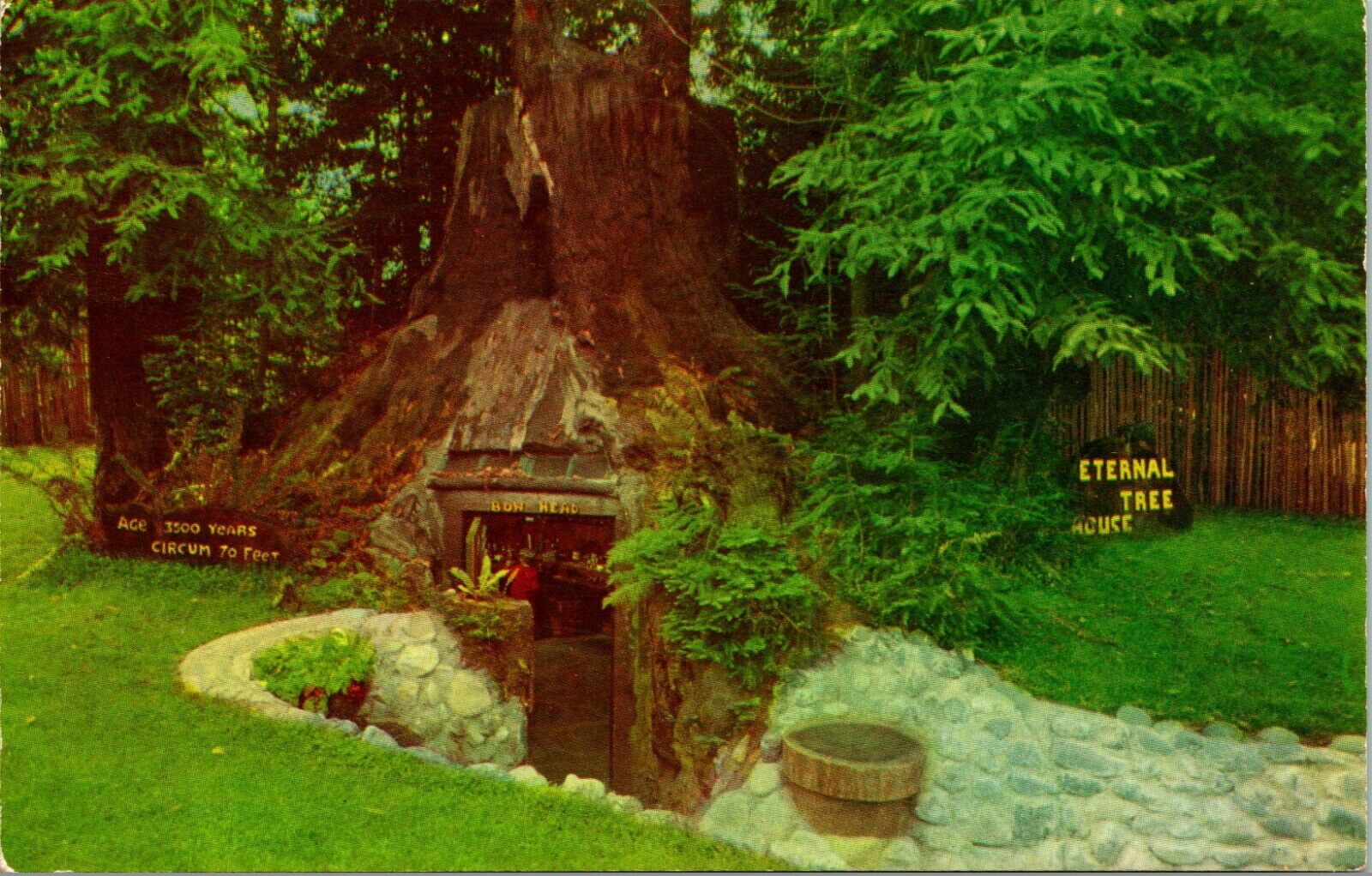Vtg Chrome Postcard 1956 Redcrest California CA Eternal Tree House Sempervirens