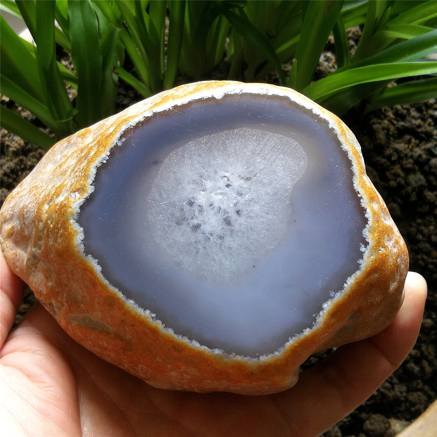 746g Natural Clear Big Moving Water Bubble Enhydro Agate Crystal Specimen Cut