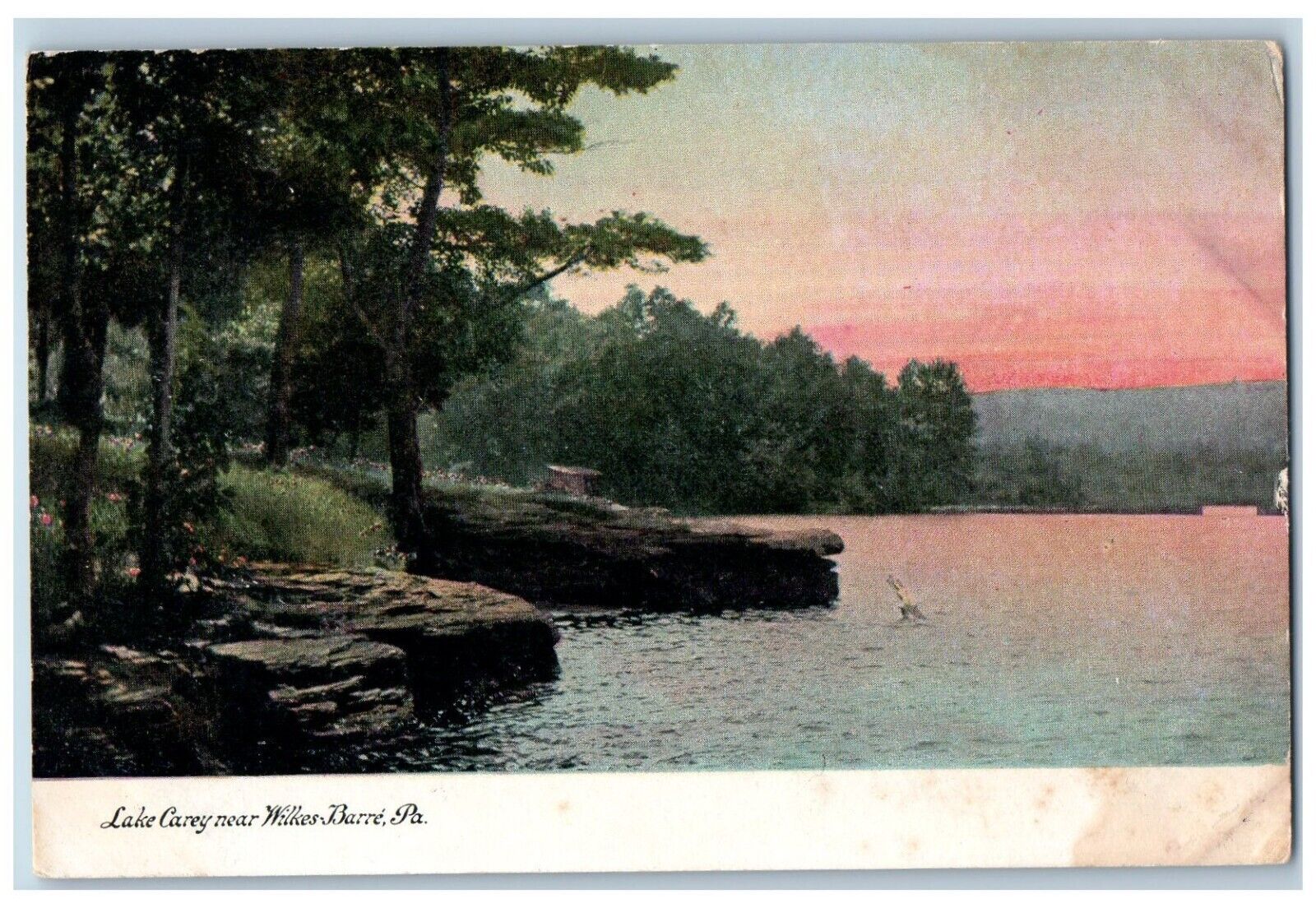 Wilkes-Barre Pennsylvania PA Postcard Lake Carey Scenic View Trees Sunset c1905