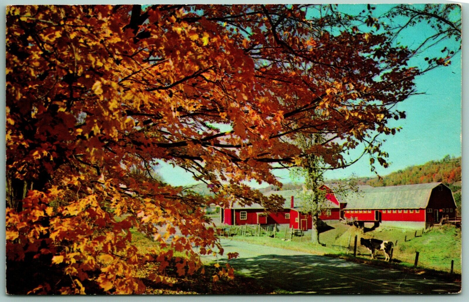 Generic Farm Greetings From Howland Maine ME UNP Unused Chrome Postcard H9