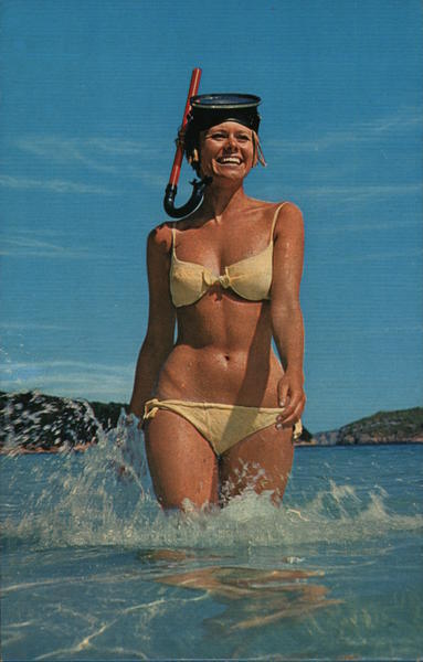 Swimsuit/Pinup Woman in a Yellow Bikini With Snorkeling Gear Chrome Postcard