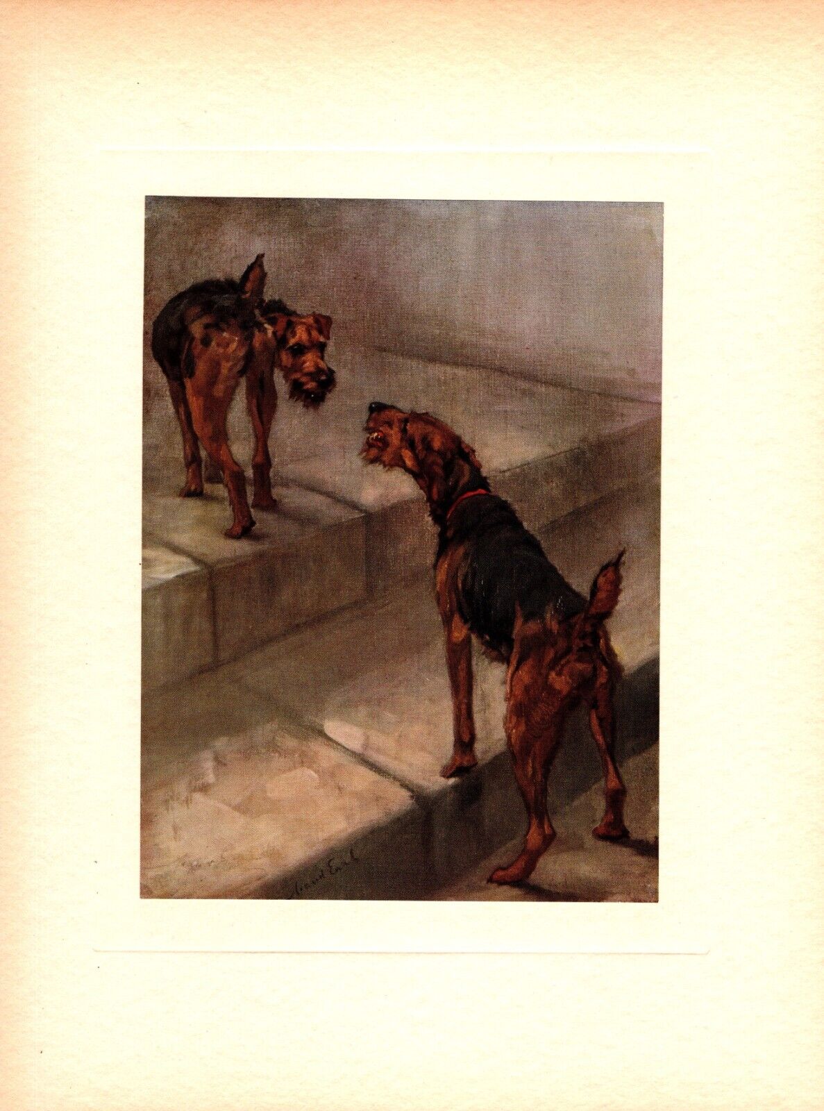 Antique Welsh Terrier Print c1910 Maud Earl Welsh Terrier Wall Art 5013f