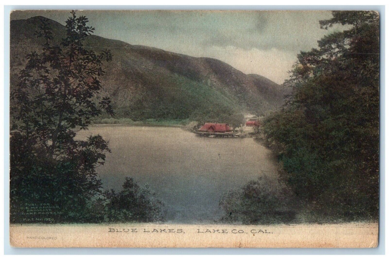 1908 View Of Blue Lakes Cottage Lake County California CA Antique Postcard