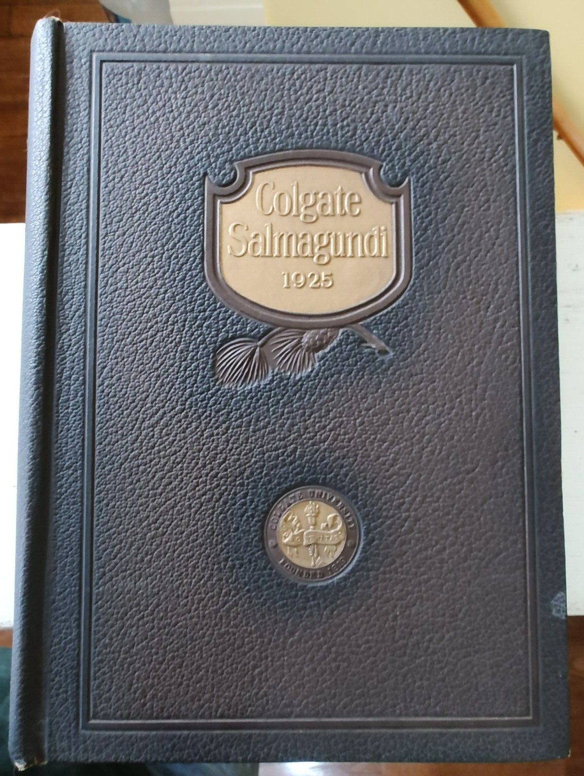 1925 Colgate University Hamilton NY Yearbook - SALMAGUNDI