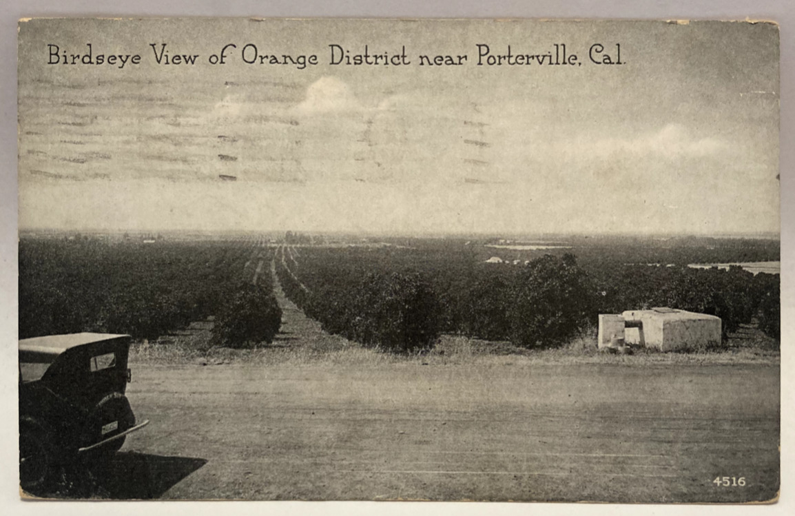 1923 Bird\'s Eye View of Orange District, Porterville California Vintage Postcard