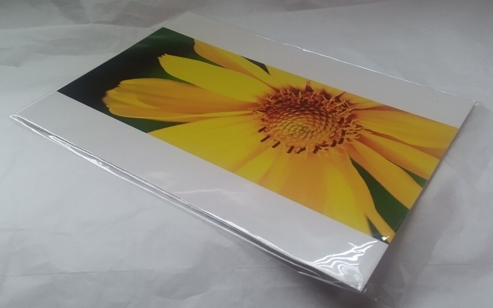 Reader\'s Digest Floral Postcards Set Of 3 Flowers 