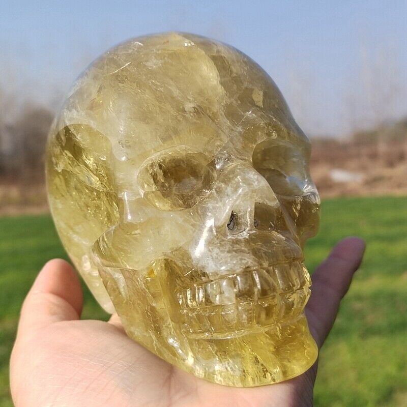 3LB Natural Citrine Skull Hand Carved Quartz Crystal Reiki Skull Healing Gift