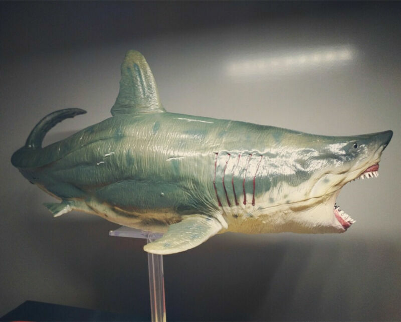 PNSO Megalodon Model Figure Prehistoric Ocean Animal Base Toy Collector Decor