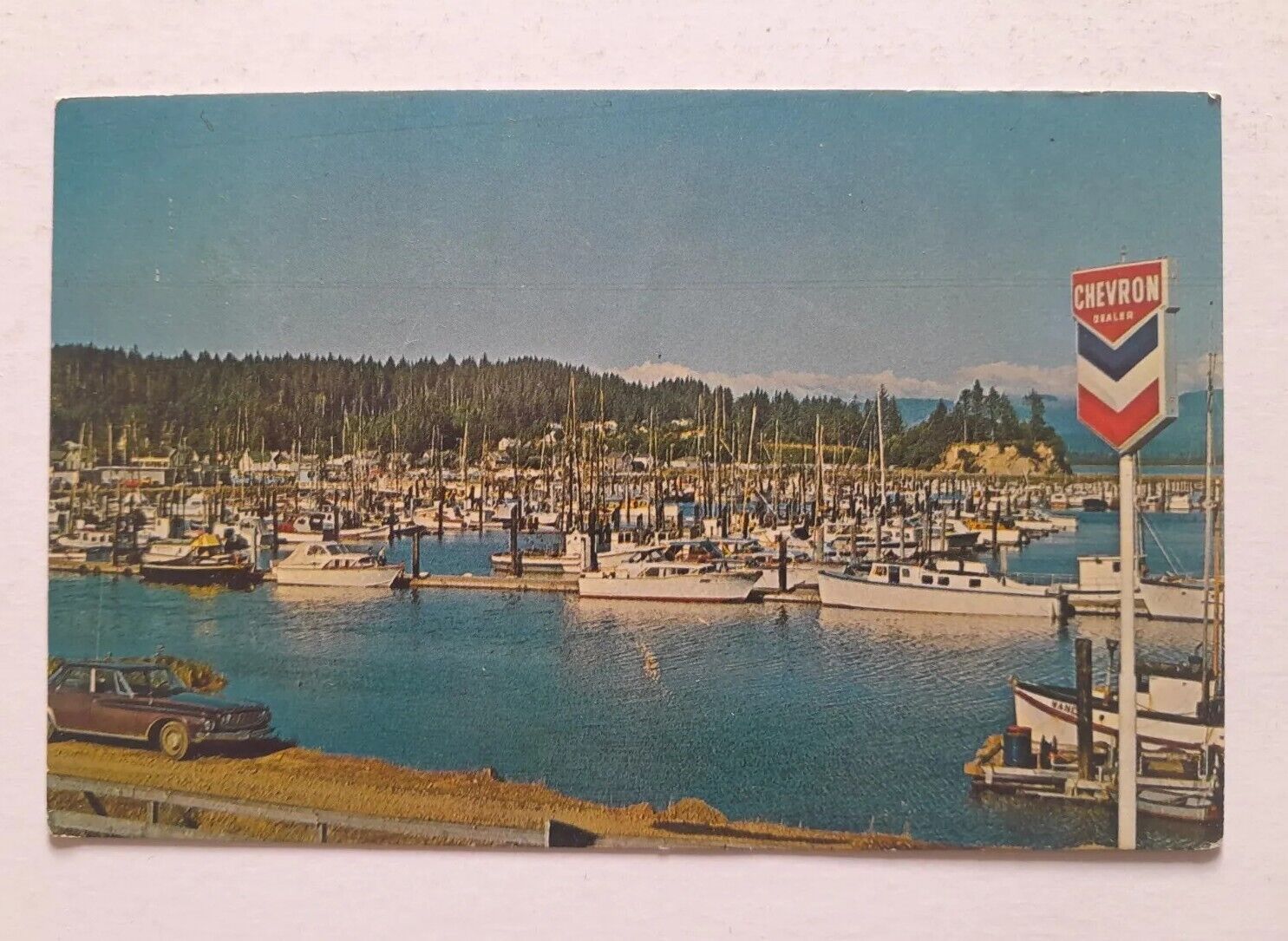 Port Basin Ilwaco, Washington Vintage Postcard