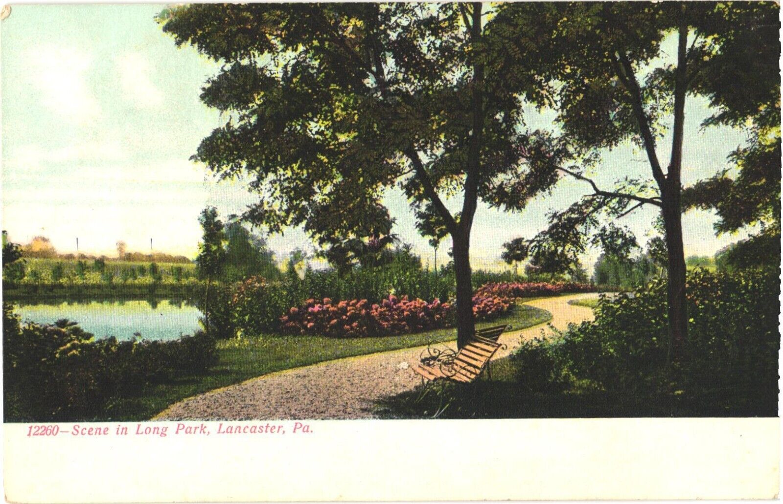 Lancaster Pennsylvania Scene in Long Park Picturesque Lake Postcard