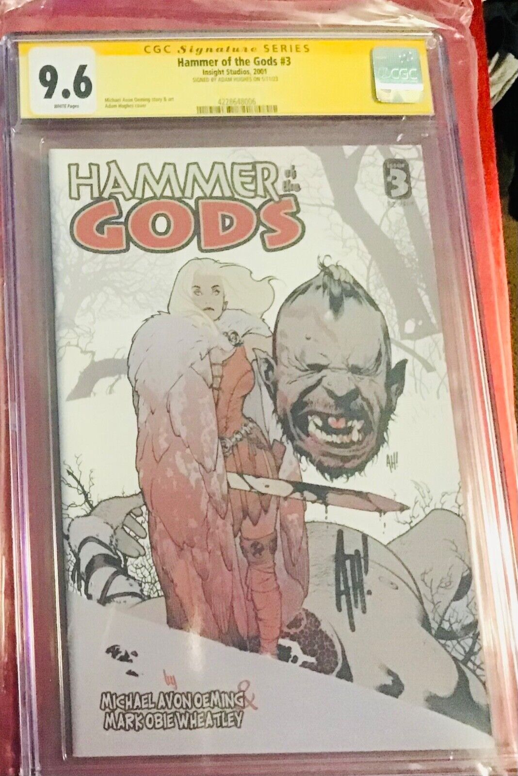 Adam Hughes signature series hammer of the gods 3