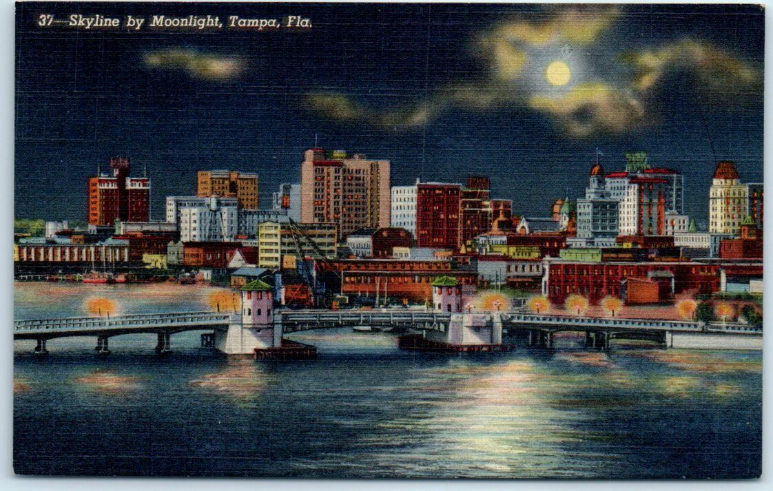 Postcard - Skyline by Moonlight, Tampa, Florida