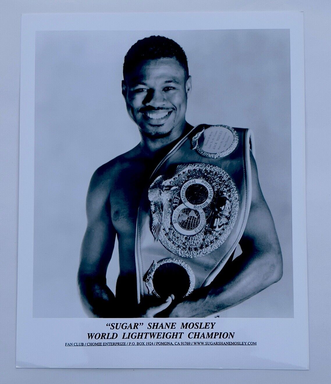 SUGAR SHANE MOSLEY Photo  World Lightweight Champion  8” X 10”