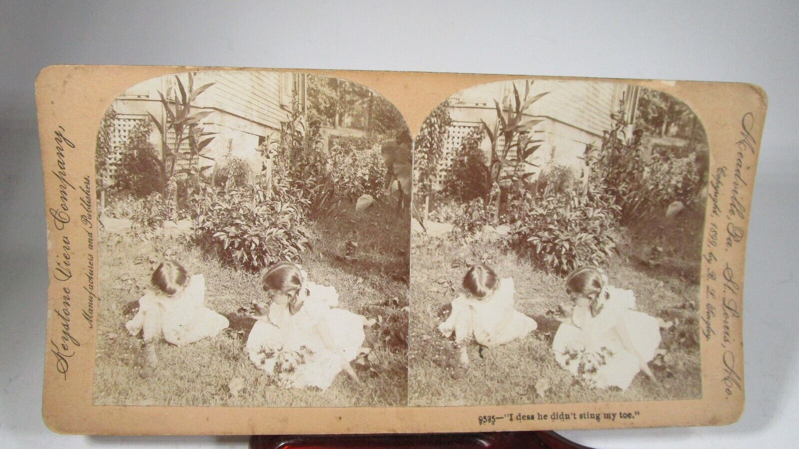 1899  Keystone  Co.  Stereo View Girls Playing DIDN\'T STING TOE   # 9235 Card