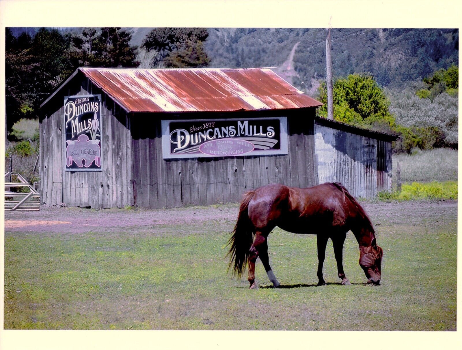 Duncans Mill Horse & Barn - Snapshot
