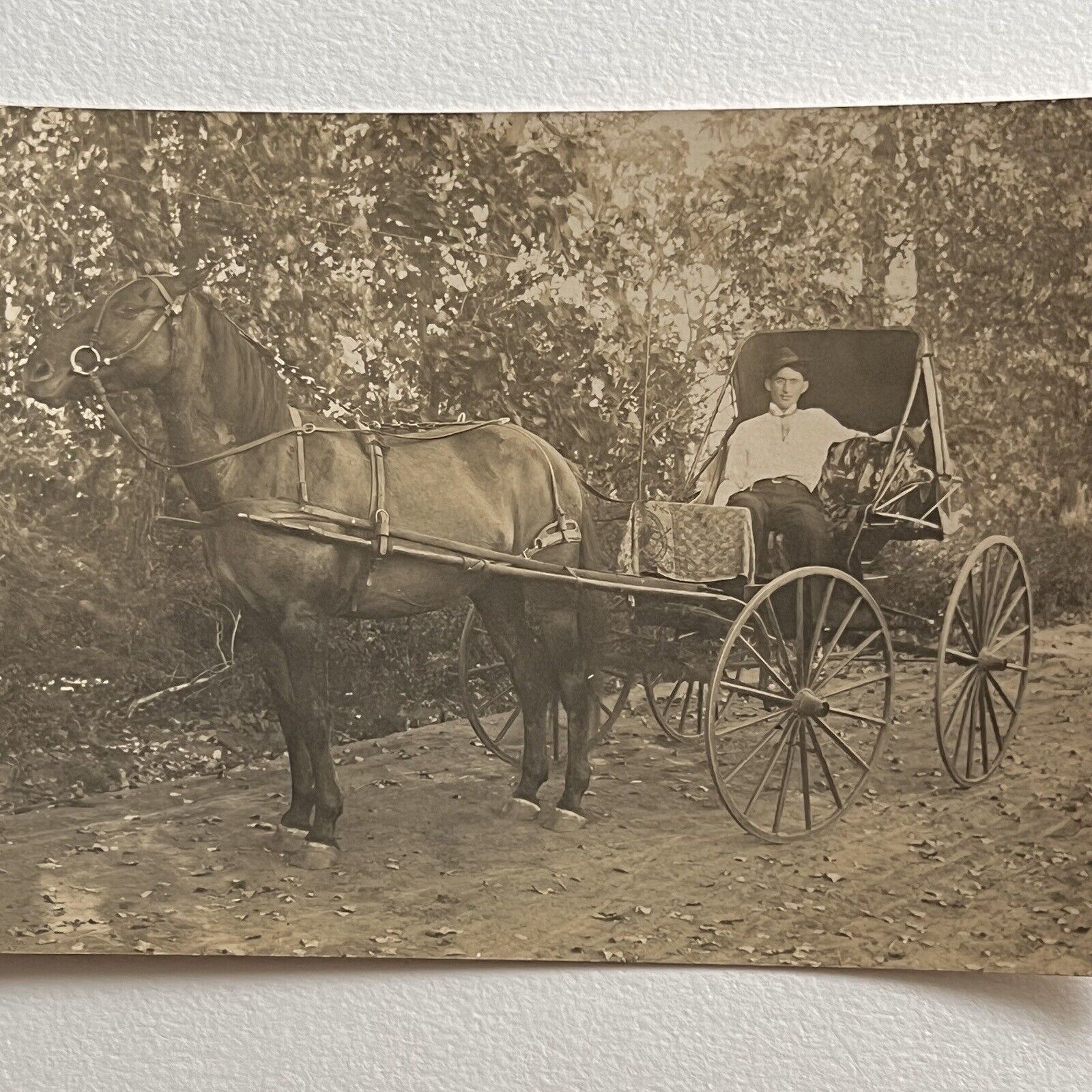 Antique RPPC Real Photograph Postcard Handsome Man Horse Drawn Wagon Buggy