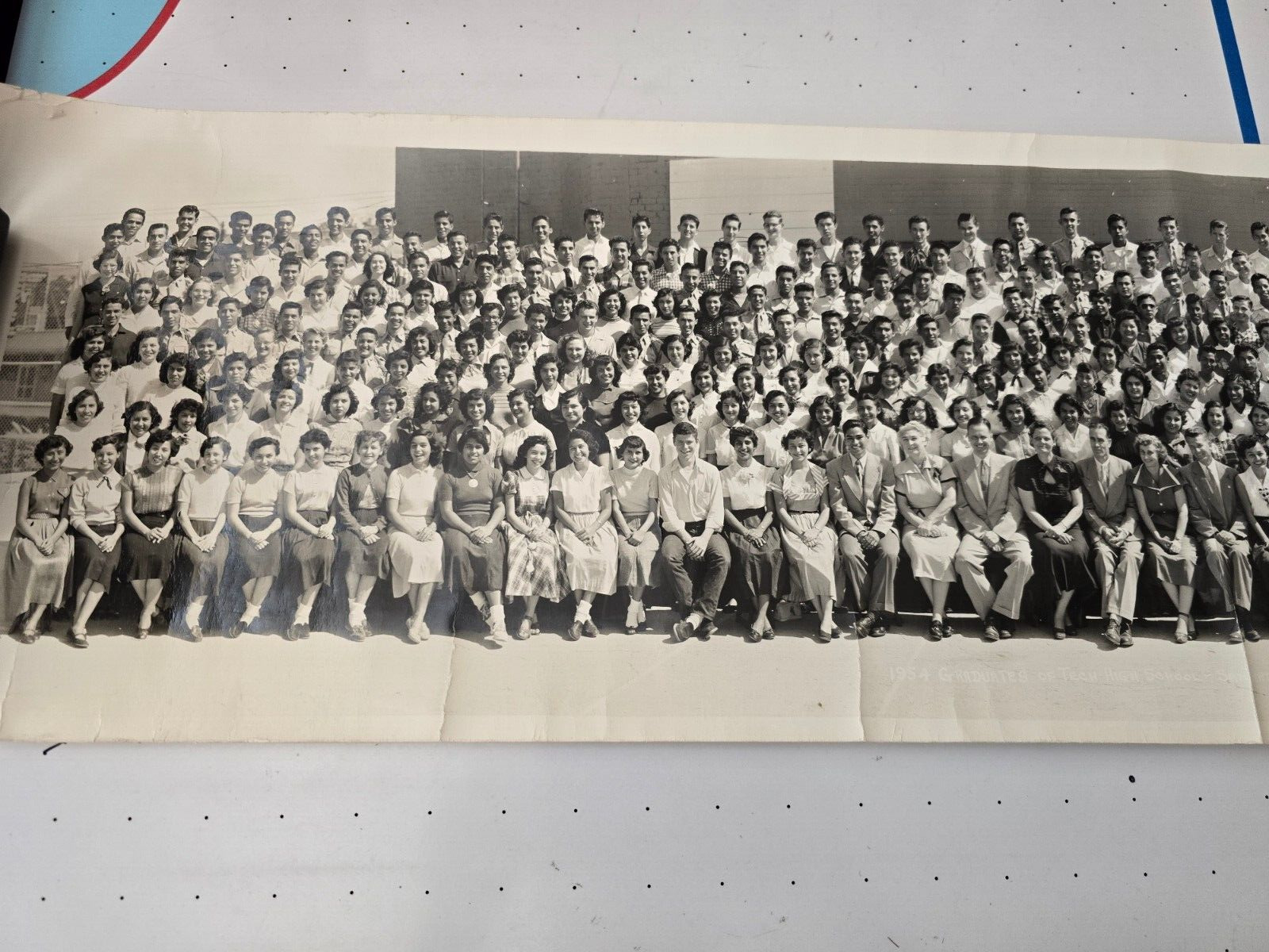 1954 Fox Tech High School San Antonio, Tx Graduates Vintage Photo