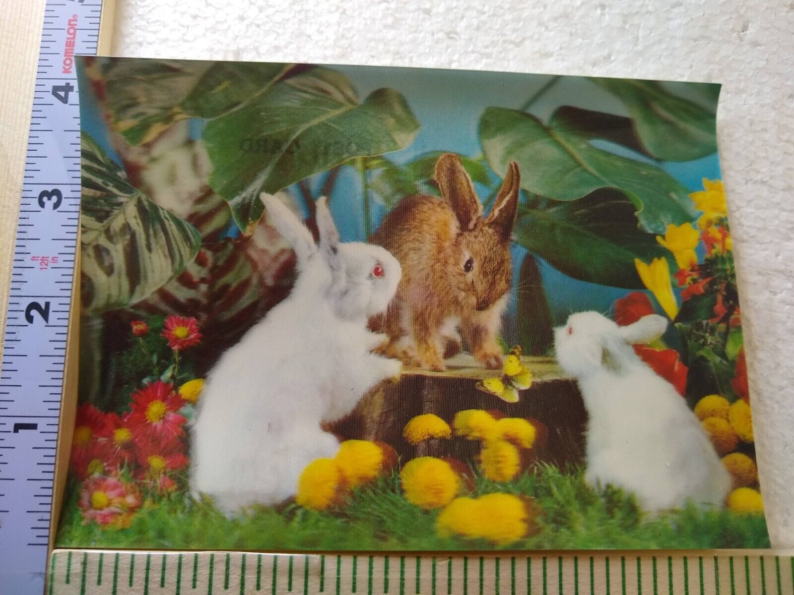 Postcard 3-Dimensional Card Bunny Friend Print