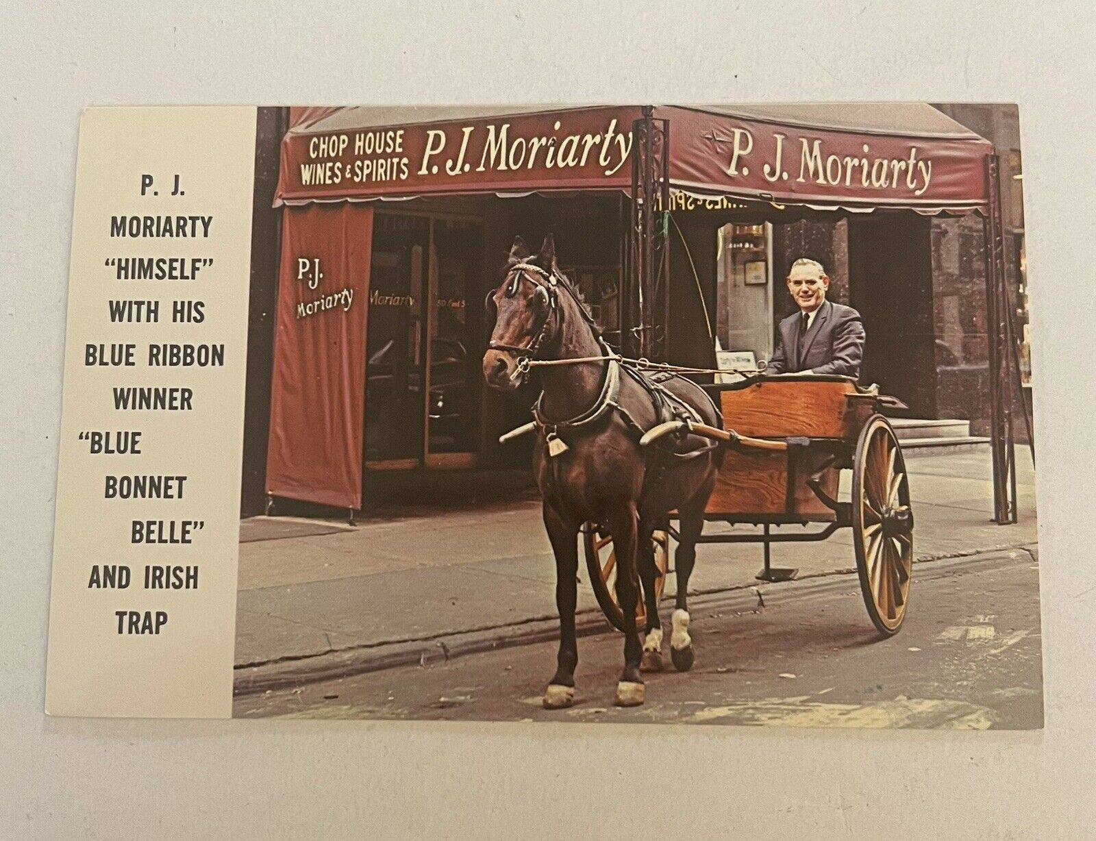 P. J. Moriarty Post Card