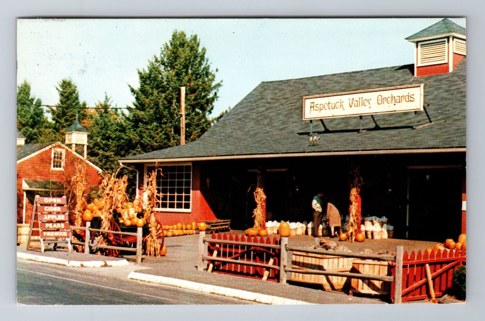 Easton CT-Connecticut, Aspetuck Orchards, Advertising, Vintage c1980 Postcard