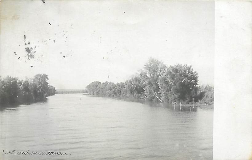 IL, Chillicothe, Illinois, RPPC, East River, Shoreline Trees, 1908 PM