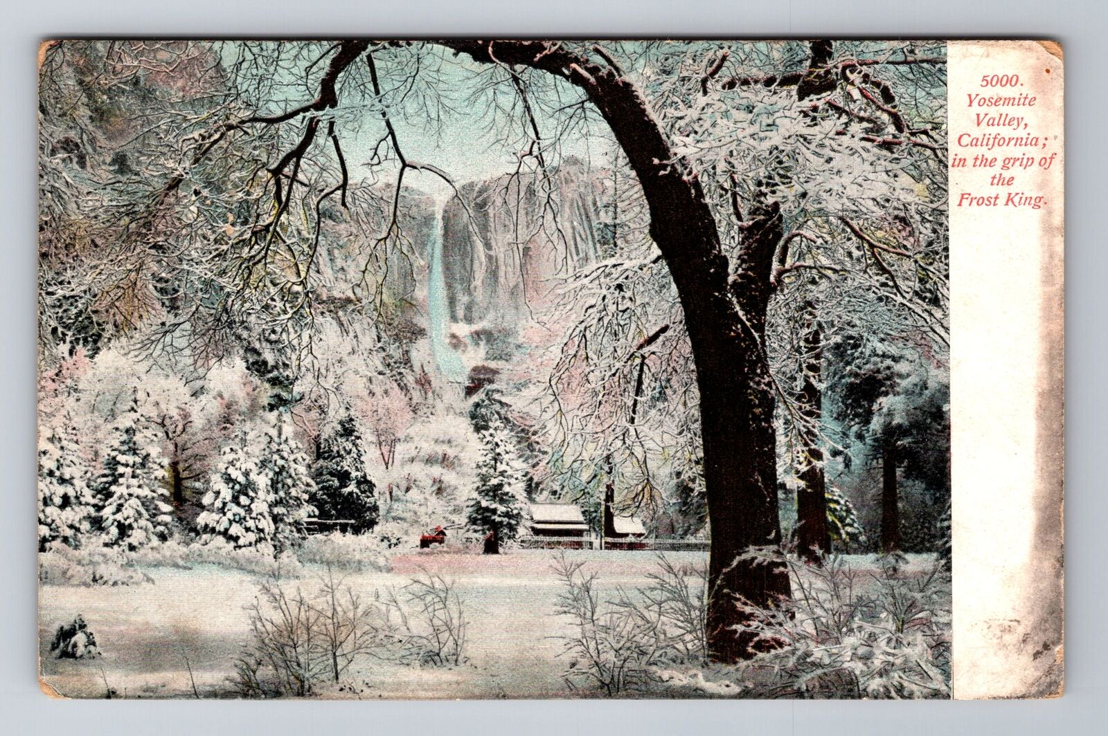 Yosemite Valley CA-California, Frost King, Antique, Vintage c1911 Postcard