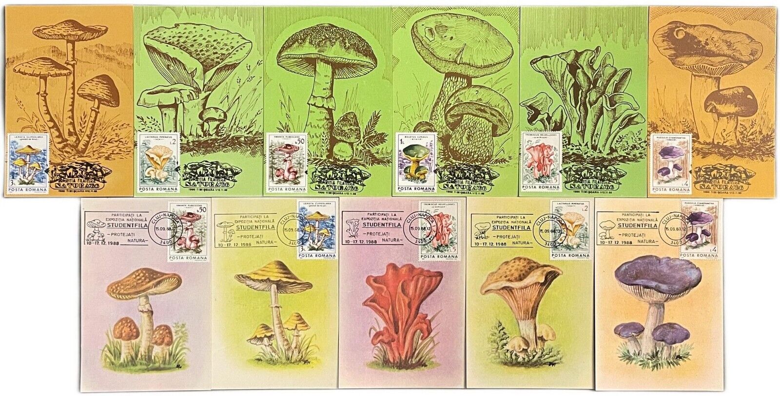 Romania set of 11 maximum cards 1988 mushrooms that can be eaten topic postcards