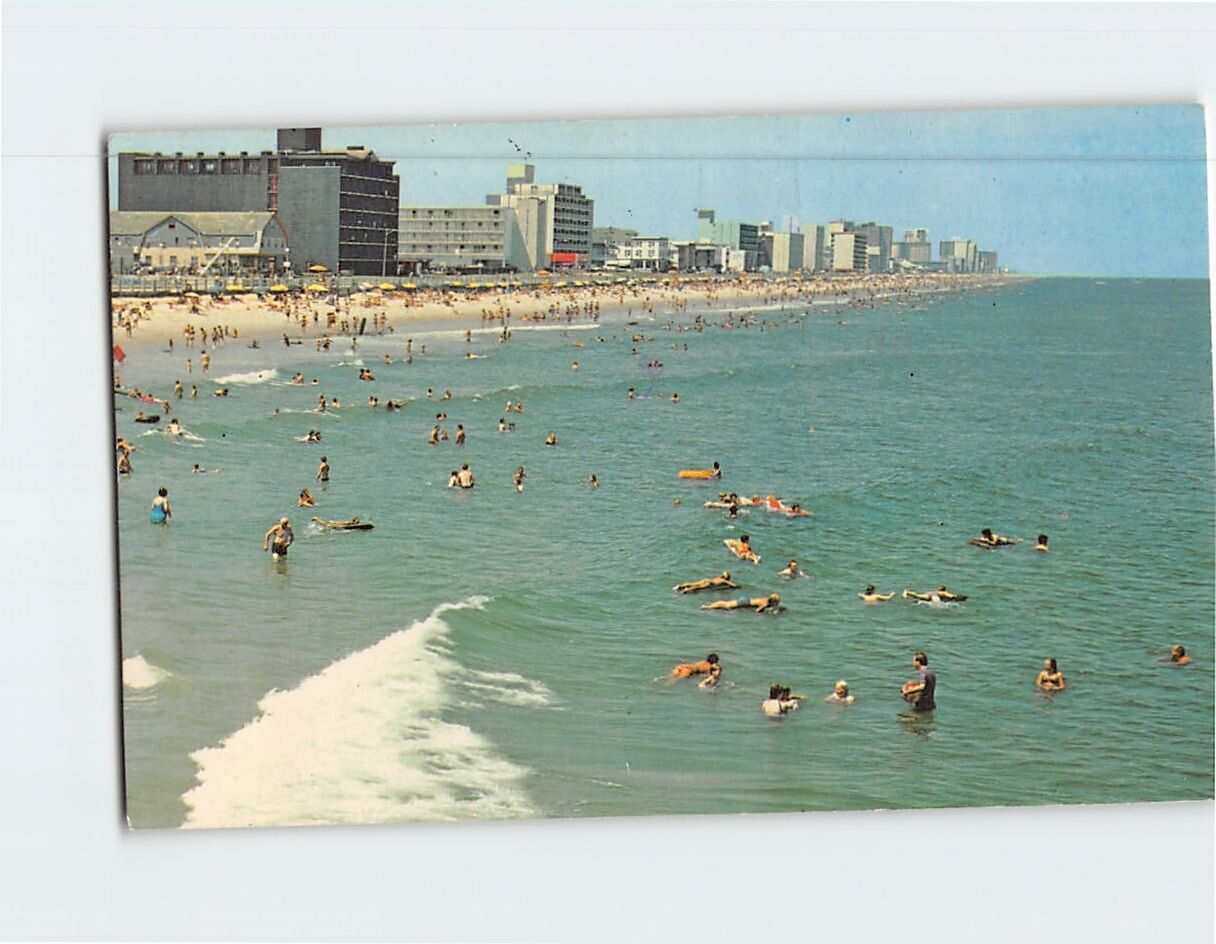 Postcard Beach Scene Virginia Beach Virginia USA