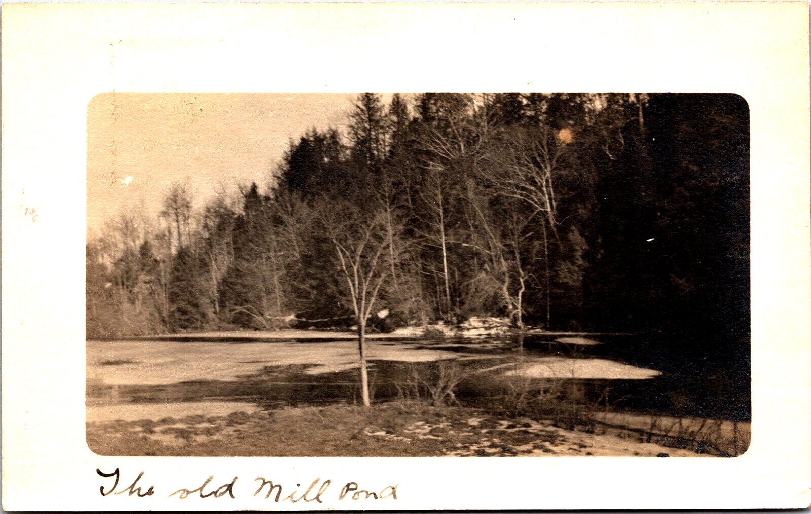 Postcard NY RPPC Scenic View Old Mill Pond Bedford Westchester County c1910s B9