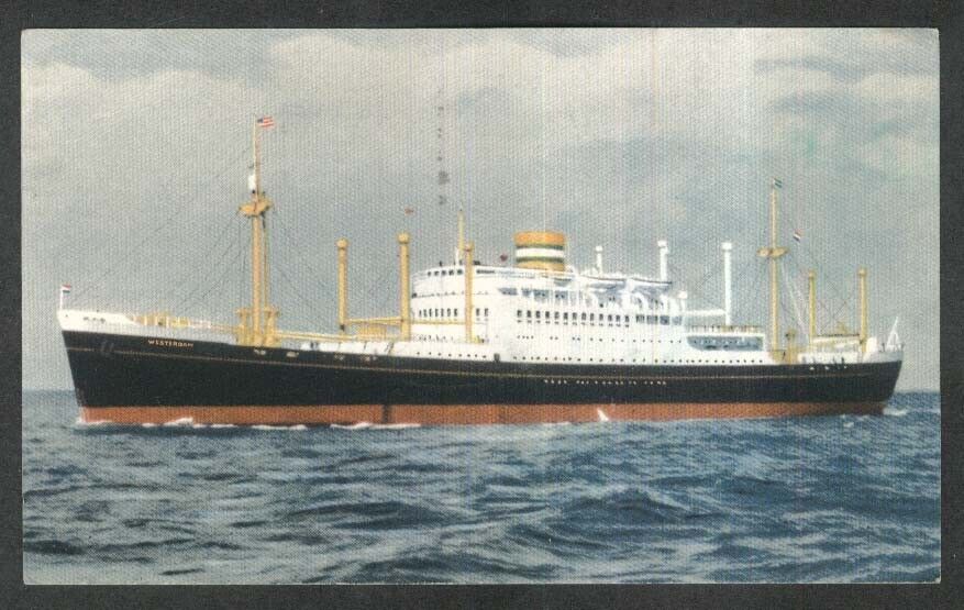 MV Westerdam passenger cargo ocean liner postcard 1951