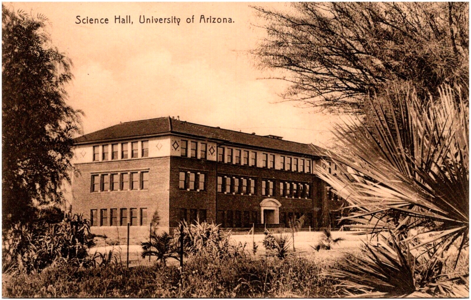 Science Hall at University of Arizona Tucson AZ 1910s College Postcard