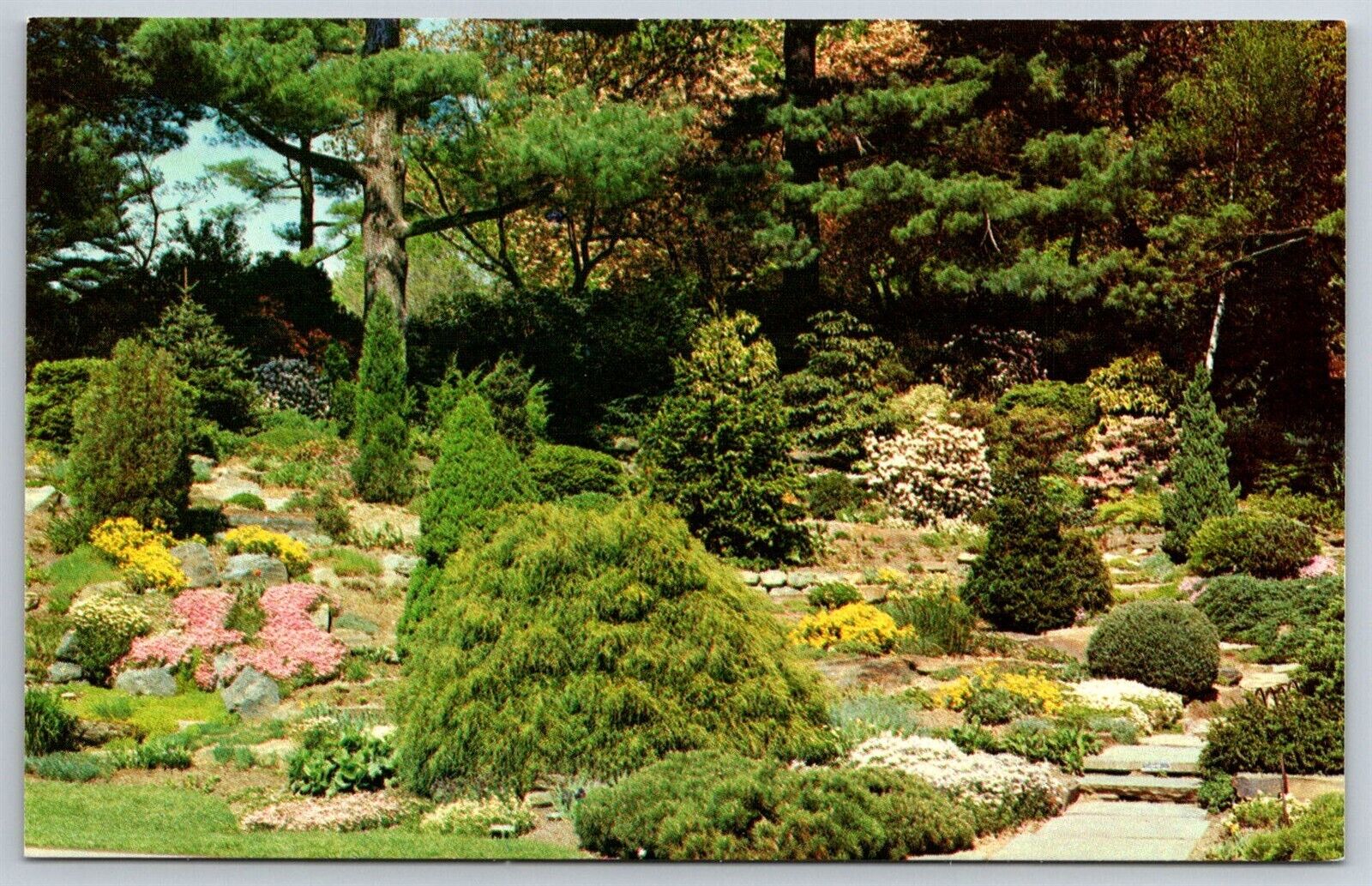Postcard Rock Garden In Spring Pennsylvania Pa Longwood Gardens Chrome Vintage