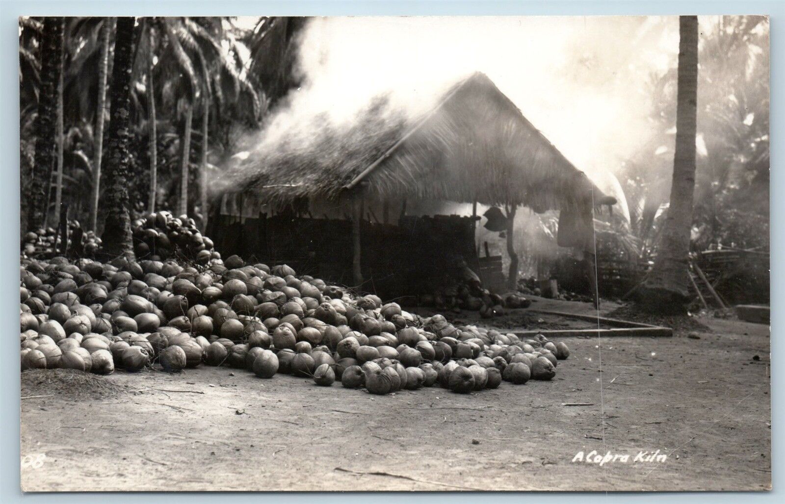 Postcard Philippines PI Copra Kiln Coconuts RPPC c1930s Photo L17