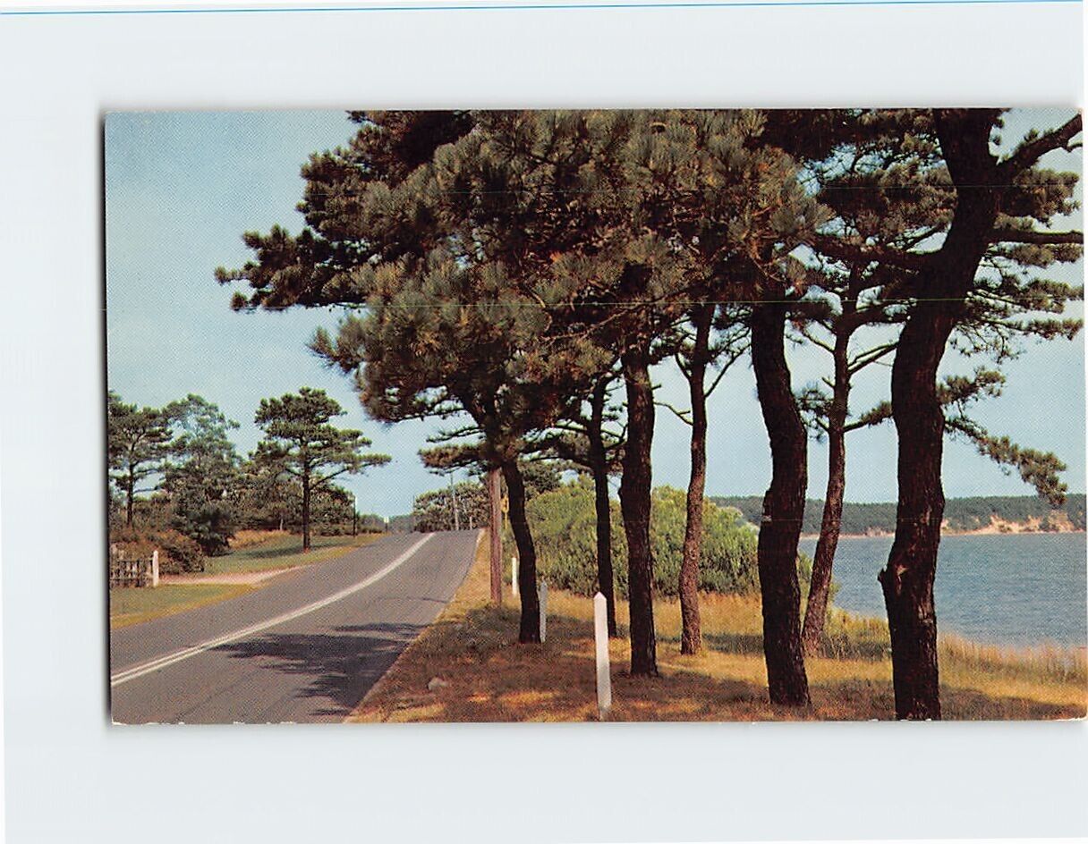 Postcard Along The Highway