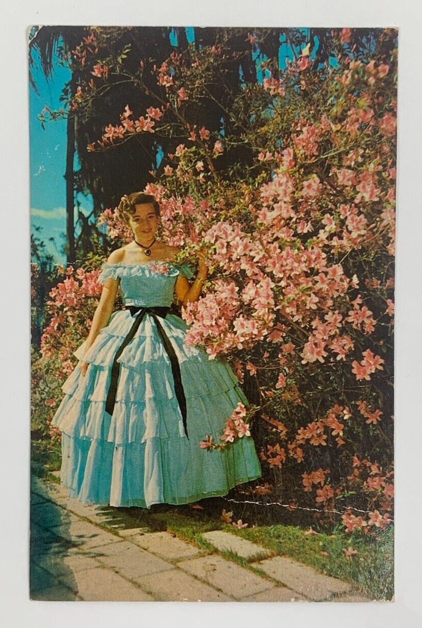 A Beauty Southern Belle among the Azaleas Augusta Georgia Postcard Unposted