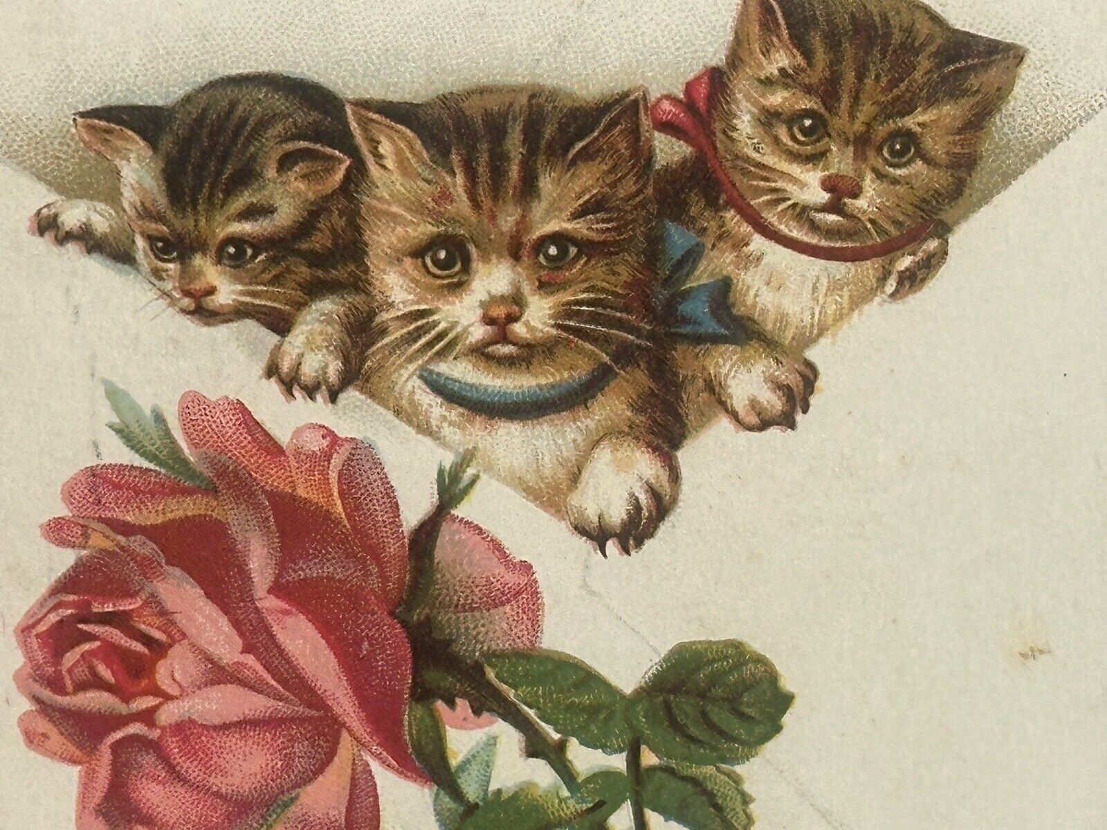 Cat Postcard Three Kittens In The Mail Envelope Pink Rose Wear Bows