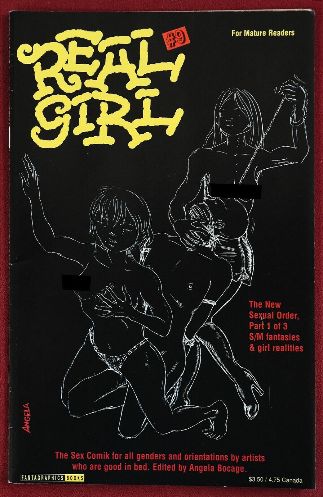 Real Girl #9 Comic Book 1995 Fantagraphics S&M Fantasies & Girl Realities - VF 