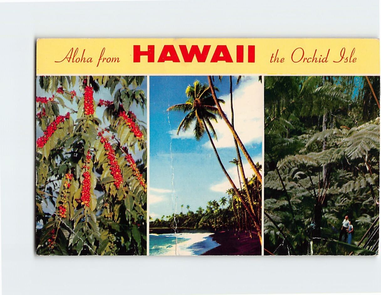 Postcard Aloha from Hawaii the Orchid Isle USA