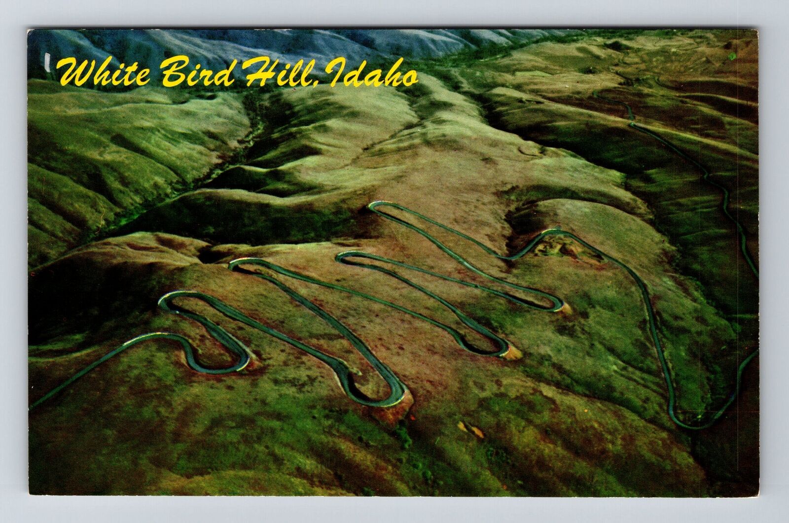 White Bird Hill ID-Idaho Twelve Switch Back Highway Vintage Souvenir Postcard
