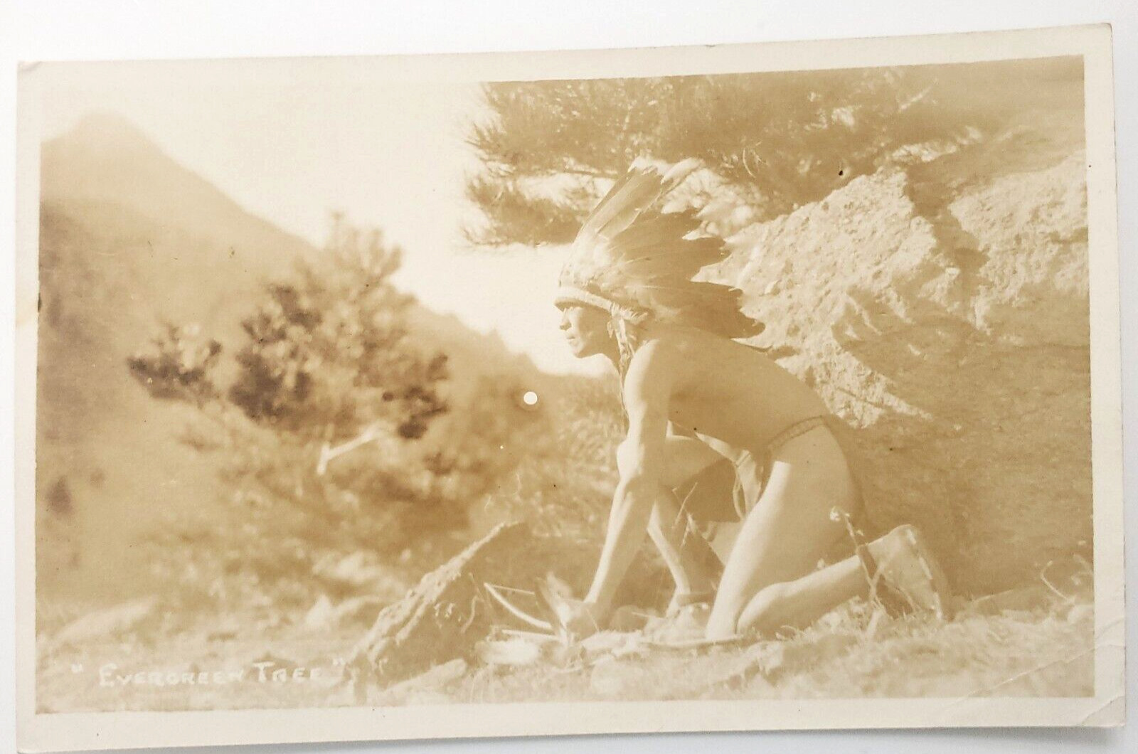 VTG Real Photo Postcard Native American Indian Chief Evergreen Tree Unposted  L2