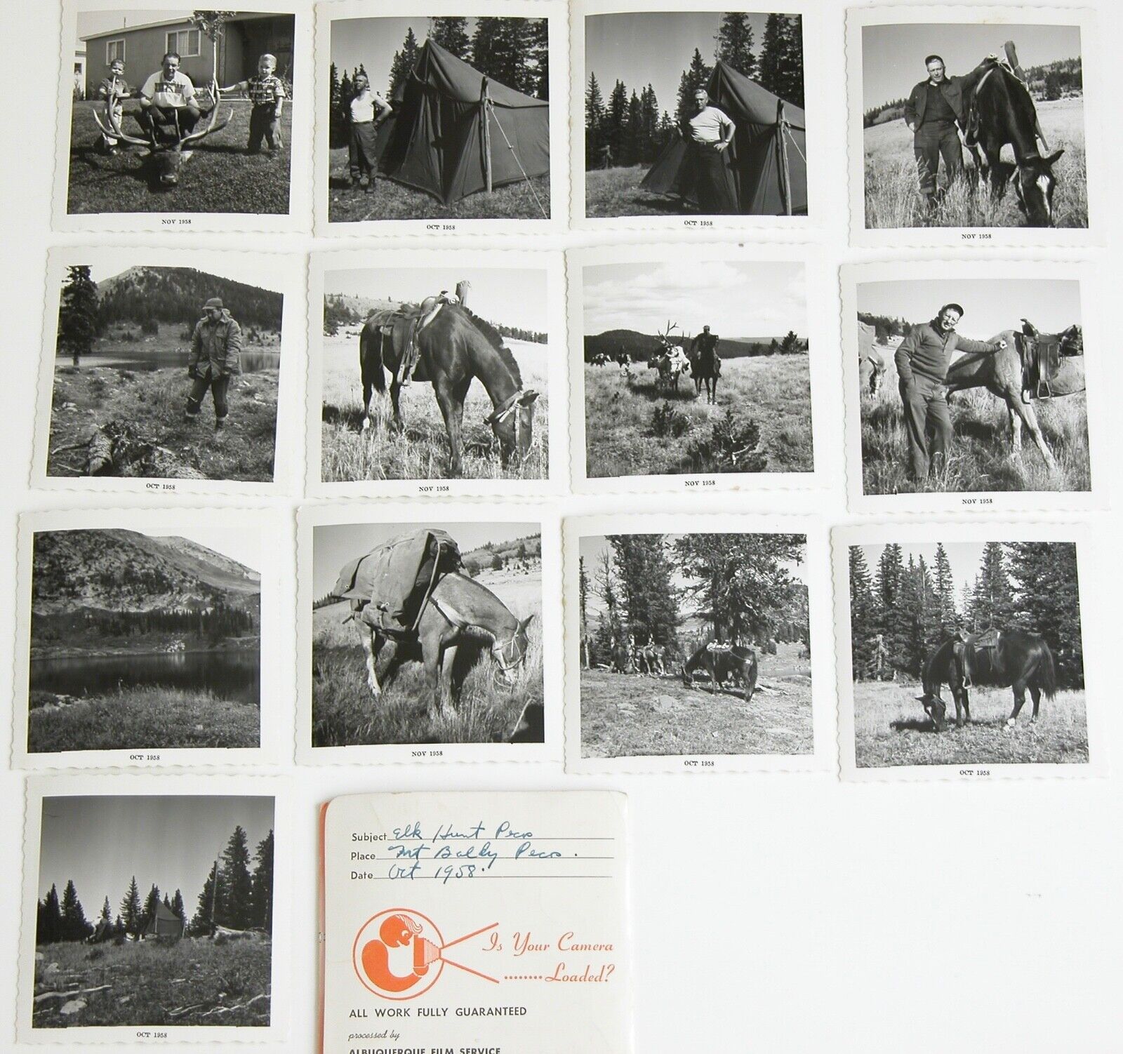 Vtg Snapshot Photos Elk Hunting Trip CO Mt Baldy 1950s B&W Photographs 1958