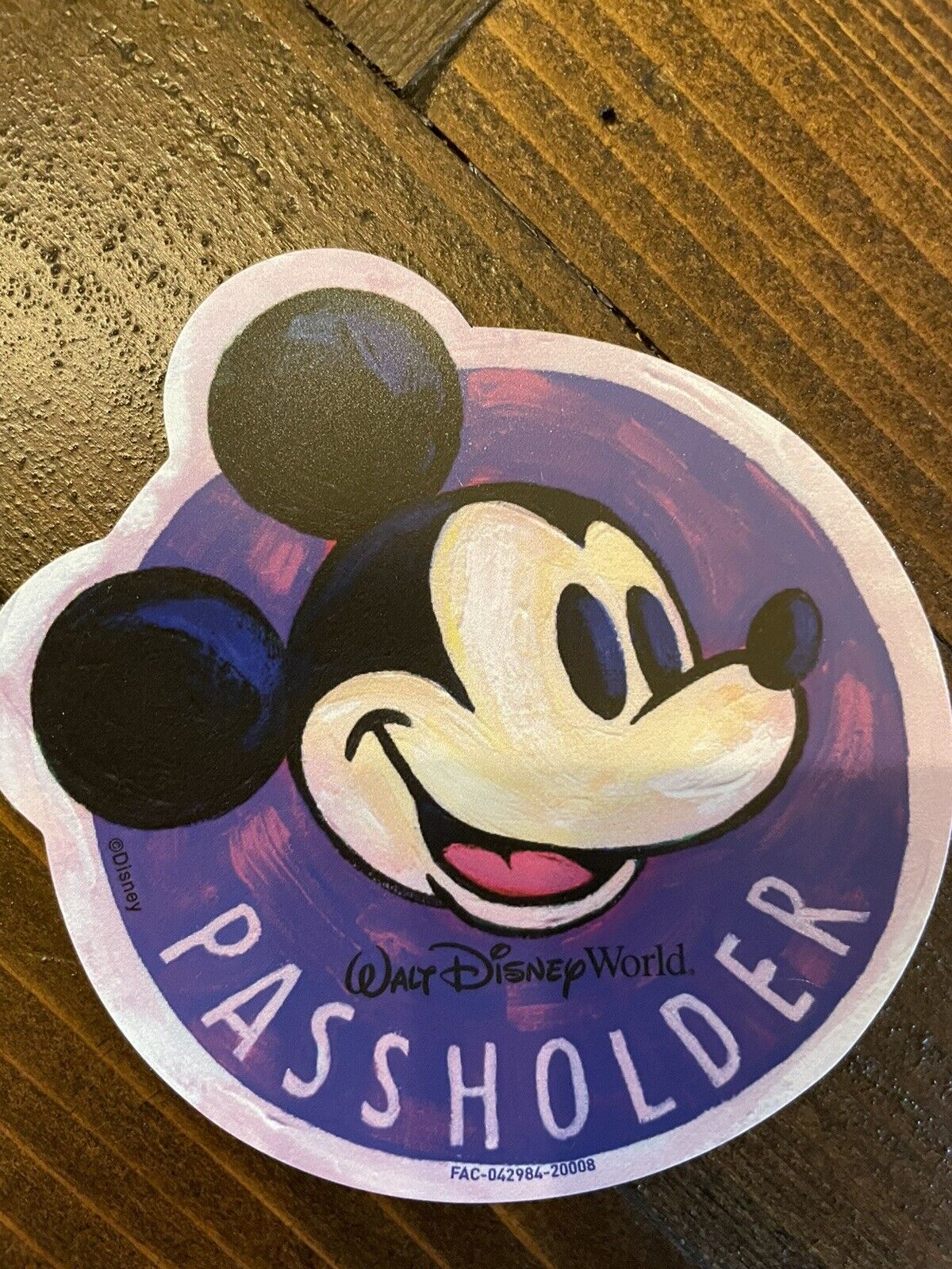 Disney Passholder Artful Mickey Magnet Festival Of The Arts