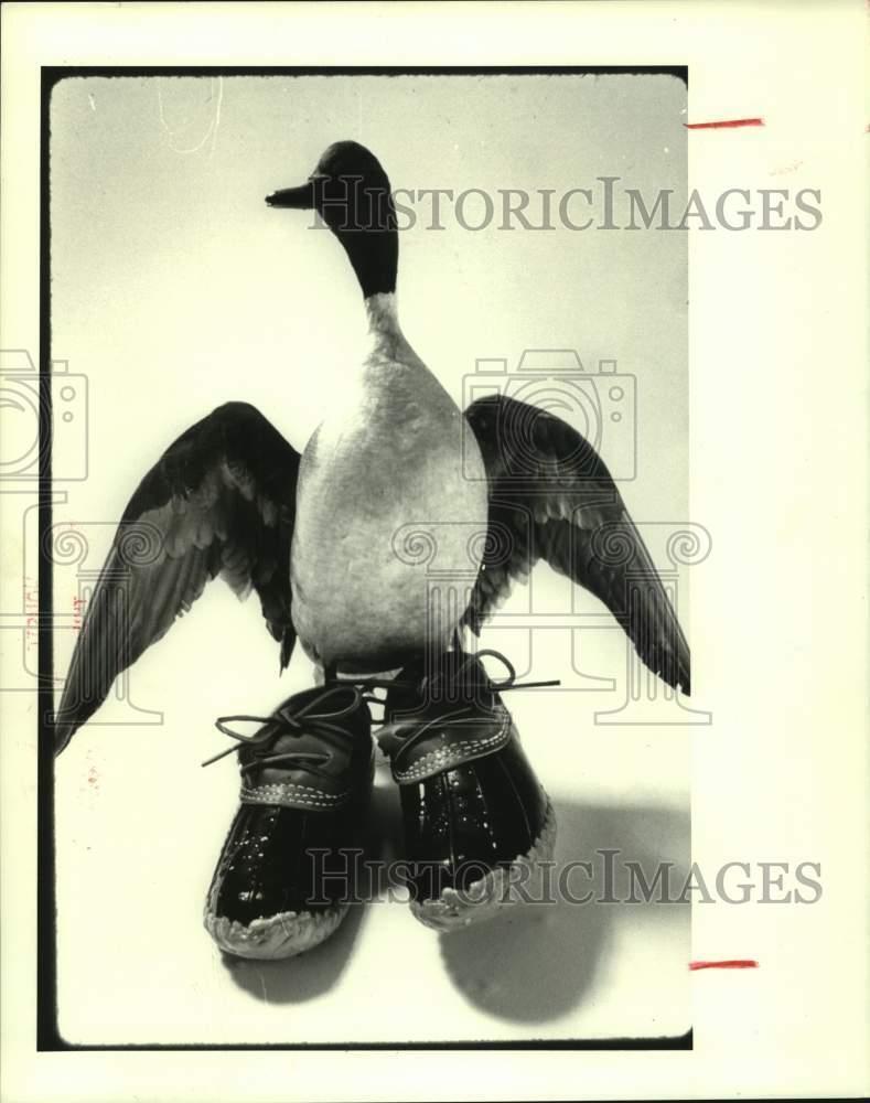 1989 Press Photo Duck beside L. L. Bean duck shoes - hcx18945