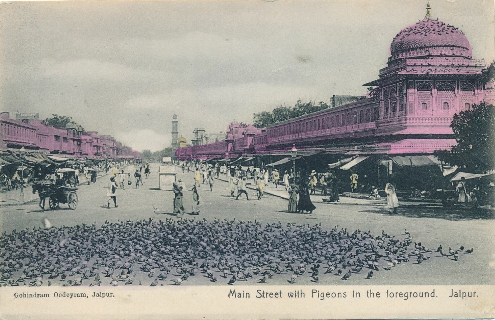 JAIPUR - Main Street with Pigeons in The Foreground - India