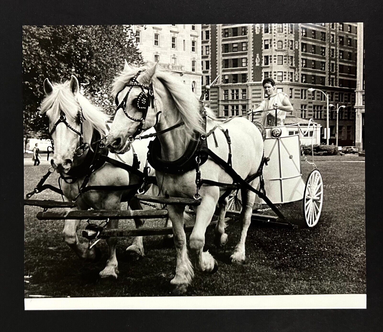 1985 Boston Massachusetts Ancient Roman Horse Chariot Downtown VTG Press Photo