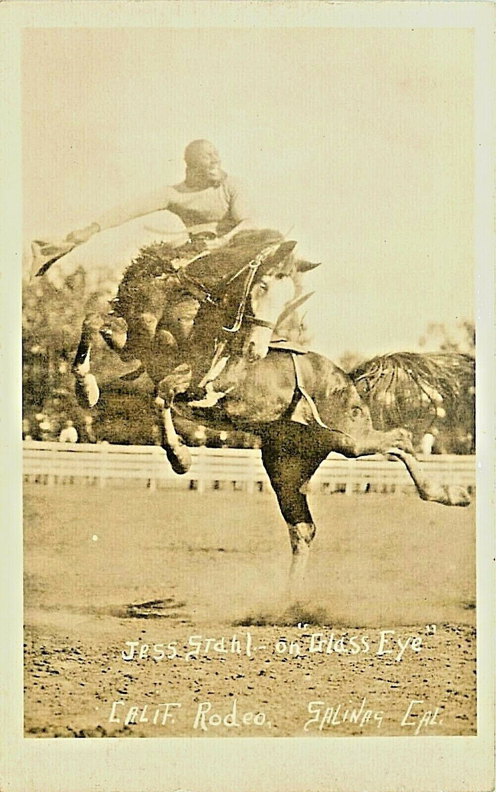 RPPC Black Cowboy Jesse Stahl on Bucking Horse Glass Eye Rodeo Salinas CA 1912