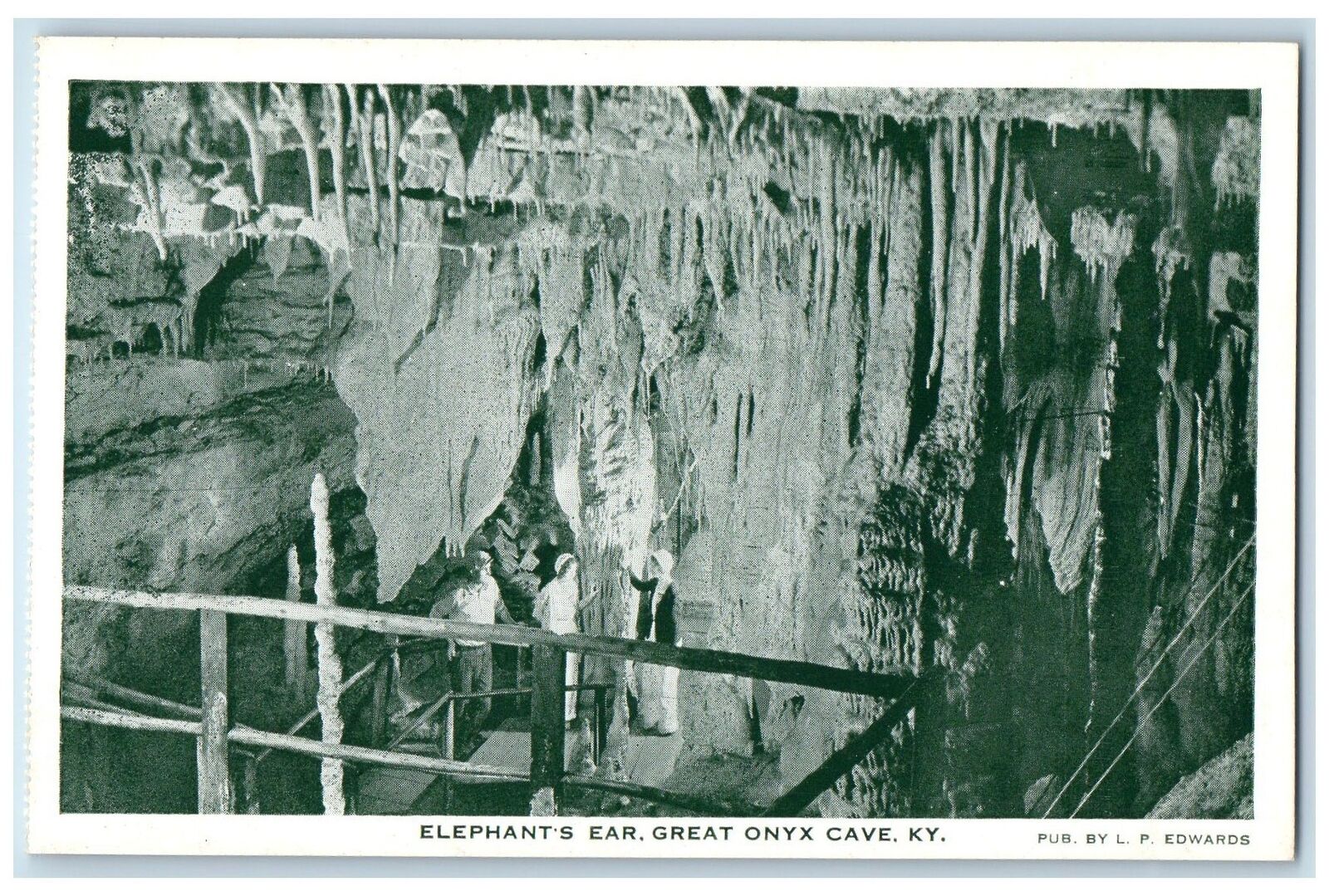 c1960's Elephant's Ear Great Onyx Mammoth Cave Kentucky KY Unposted Postcard